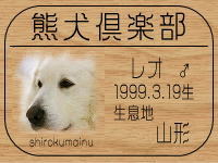 �I�[�i�[�́A�Z�o�X�`�����p�p����ł���